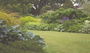 Garden Design Specialists Oxford